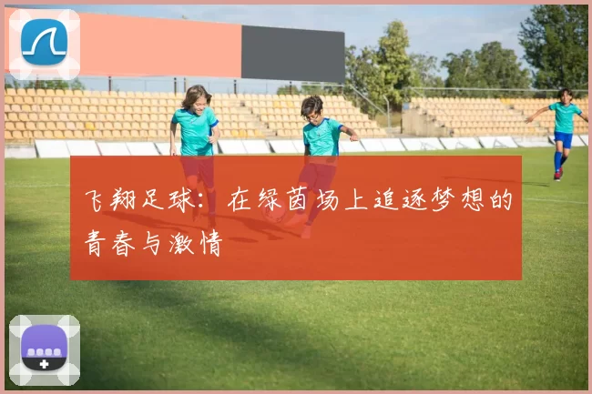 飞翔足球：在绿茵场上追逐梦想的青春与激情