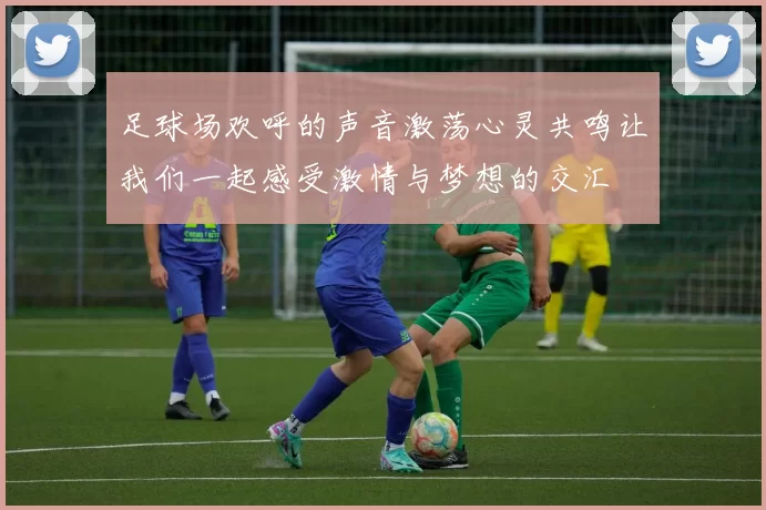 足球场欢呼的声音激荡心灵共鸣让我们一起感受激情与梦想的交汇